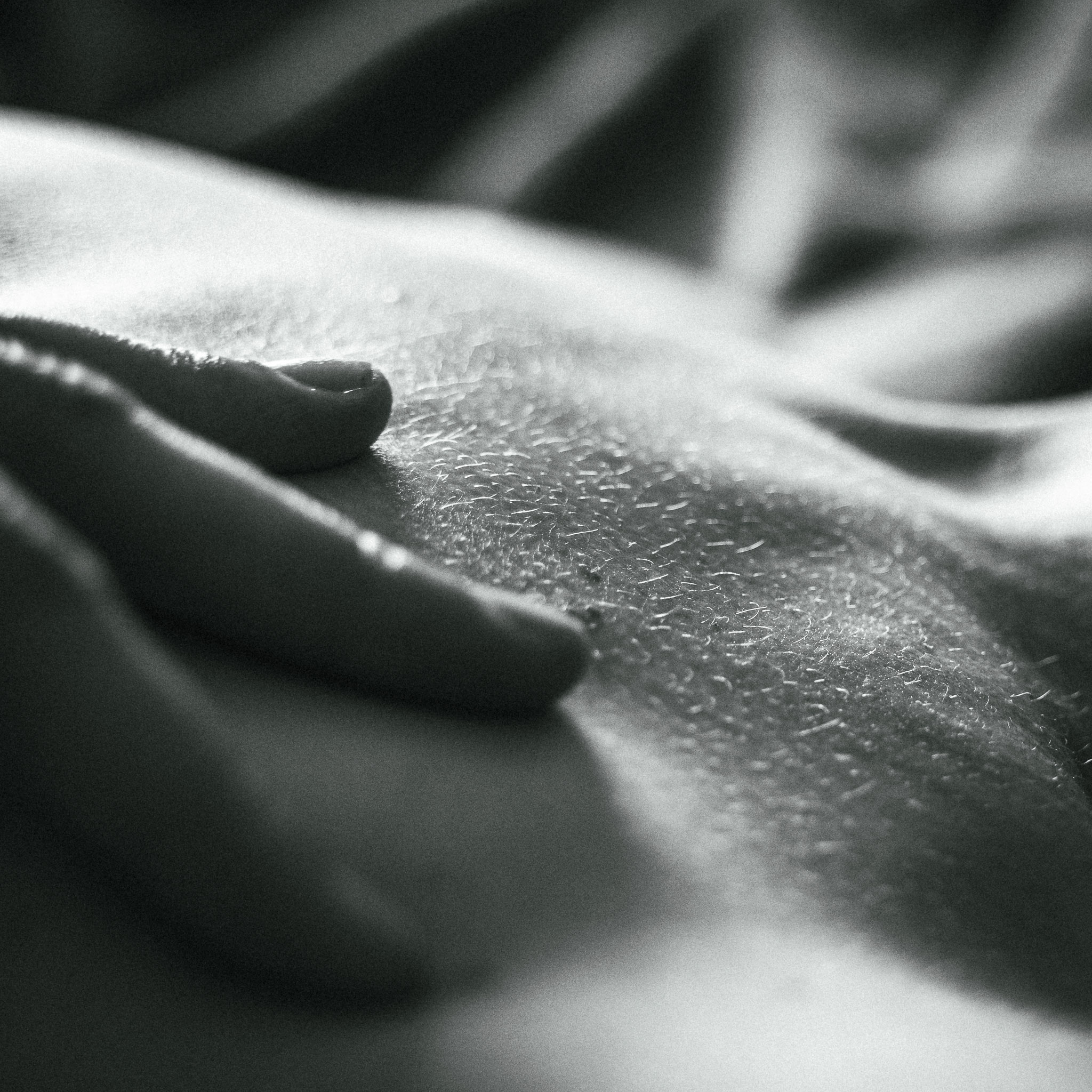 Lust ...